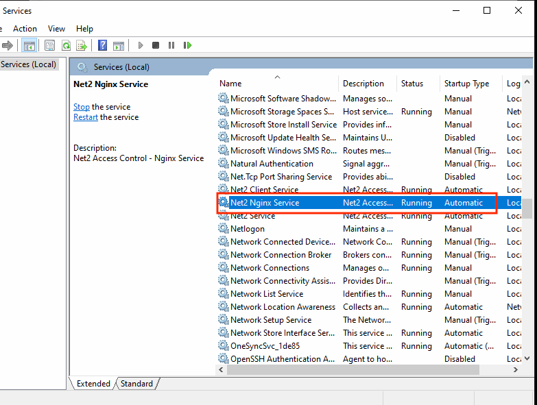 Net2 Nginx Service running