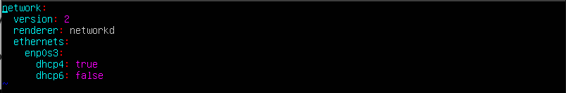 Default netplan DHCP configuration